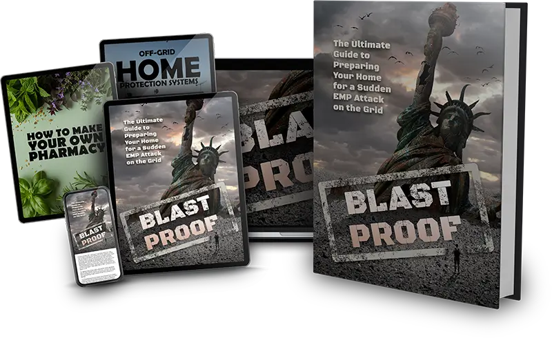 Printed and digital format concept for the David's Shield preparedness guides